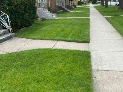 Lawn Care service in Westmont, 60559
