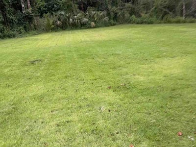 Lawn Care service in Burbank, 91502