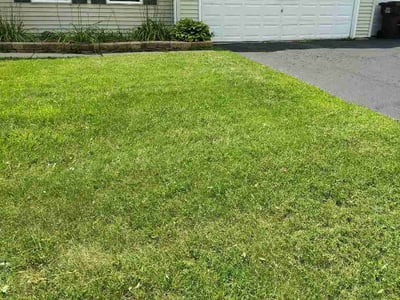 Lawn Care service in Fox Lake, 60020