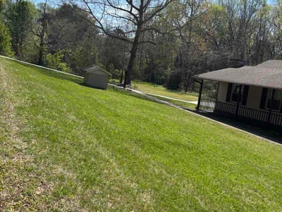 Lawn Care service in Clemmons, 27012