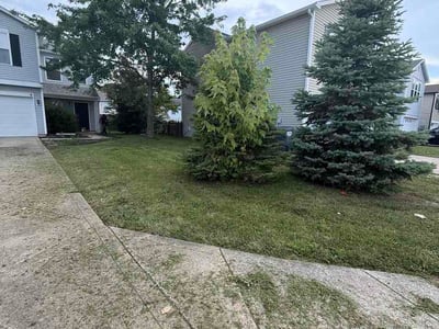 Lawn Care service in Cumberland, 46229