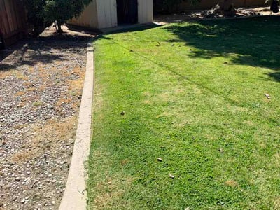 Lawn Care service in Fresno, 93721