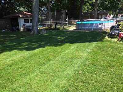 Lawn Care service in Highland Park, 60035