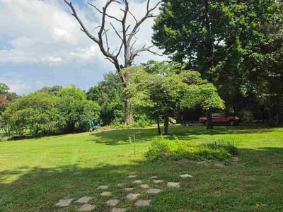 Lawn Care service in Knoxville, 37902