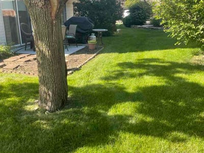Lawn Care service in Naperville, 60540