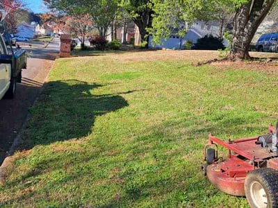 Lawn Care service in Lynn, 01902