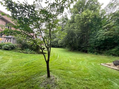 Lawn Care service in Carmel, 46032