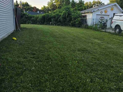 Lawn Care service in Pittsford, 14534