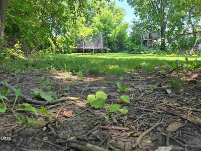 Lawn Care service in Romeoville, 60446