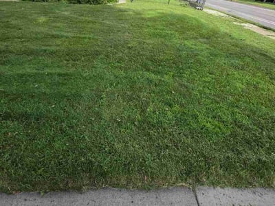 Lawn Care service in Gloucester, 01930