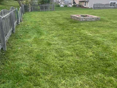 Lawn Care service in Aurora, 60506
