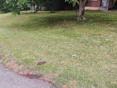 Lawn Care service in Woburn, 01801