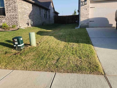 Lawn Care service in Sherman, 75090