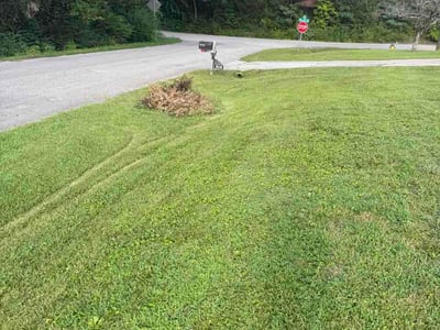 Lawn Care service in Hixson, 37343