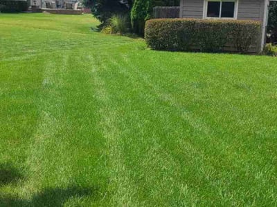 Lawn Care service in Orland Park, 60462