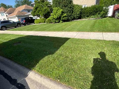Lawn Care service in Orland Park, 60462