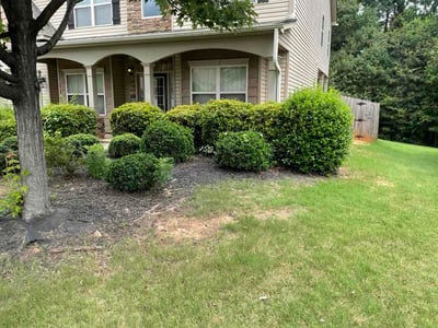 Lawn Care service in Simpsonville, 29681