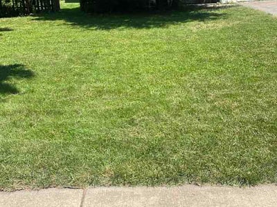 Lawn Care service in Skokie, 60076