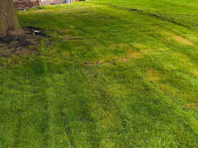 Lawn Care service in Camillus, 13031