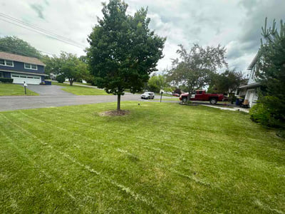 Lawn Care service in Camillus, 13031