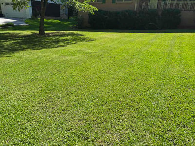 Lawn Care service in Powder Springs, 30127