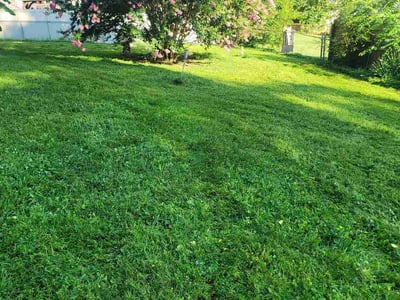 Lawn Care service in Ooltewah, 37363