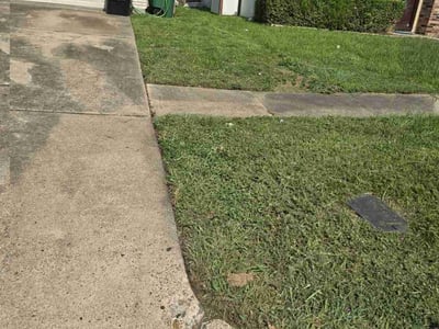 Lawn Care service in Santa Monica, 90401