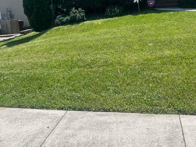 Lawn Care service in Harriman, 37748