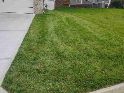 Lawn Care service in Loudon, 37774