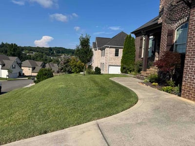 Lawn Care service in Corryton, 37721