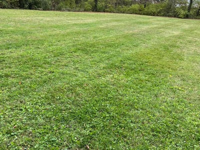Lawn Care service in Sharon, 02067