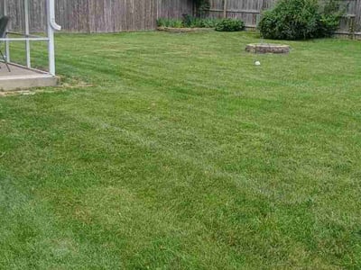 Lawn Care service in Lockport, 60441