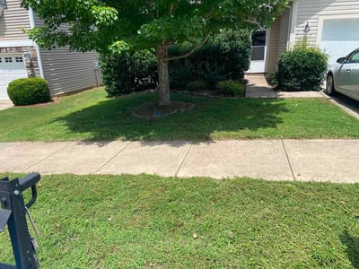 Lawn Care service in Denver, 28037