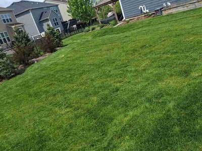 Lawn Care service in Carpentersville, 60110