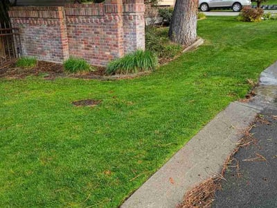 Lawn Care service in Mount Vernon, 98273