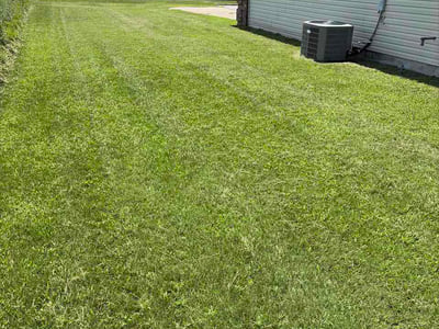 Lawn Care service in North Little Rock, 72114