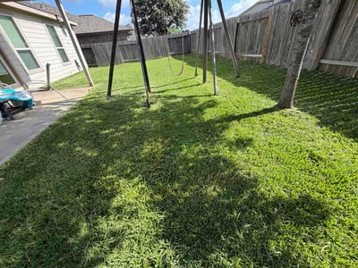 Lawn Care service in Tolleson, 85353
