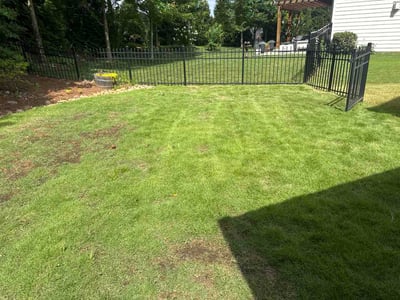Lawn Care service in Woodstock, 30188