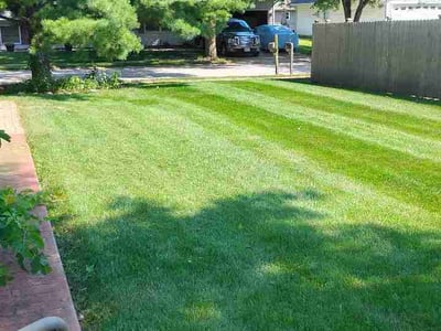 Lawn Care service in Joliet, 60432