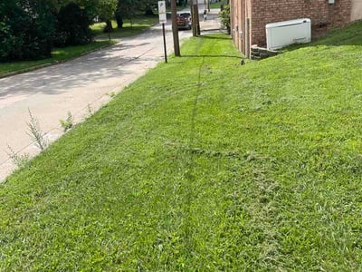 Lawn Care service in Highland, 62249