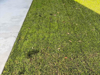 Lawn Care service in Inland Empire, 92262