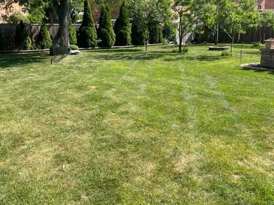 Lawn Care service in Mchenry, 60050