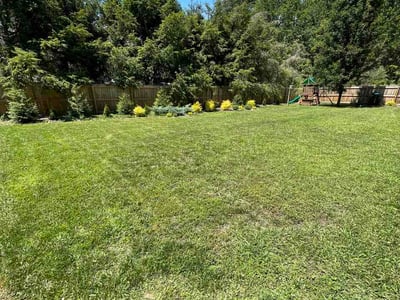Lawn Care service in Weaverville, 28787