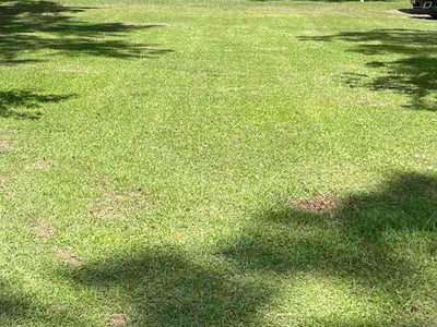 Lawn Care service in Conway, 29526