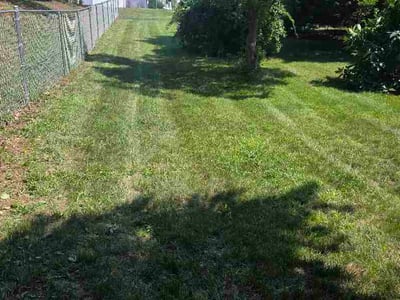 Lawn Care service in Kingston, 02364