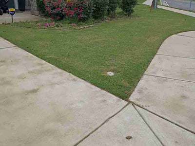 Lawn Care service in Grass Valley, 95945