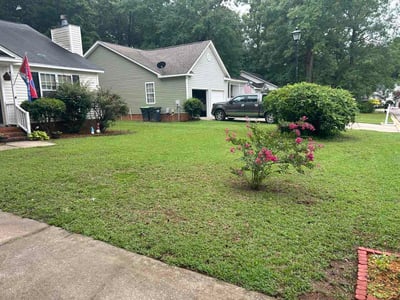 Lawn Care service in Chapin, 29036