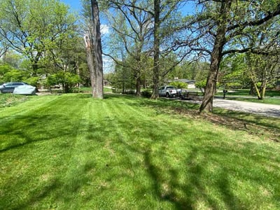 Lawn Care service in Franklin, 02038