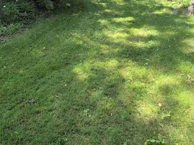Lawn Care service in Franklin, 02038