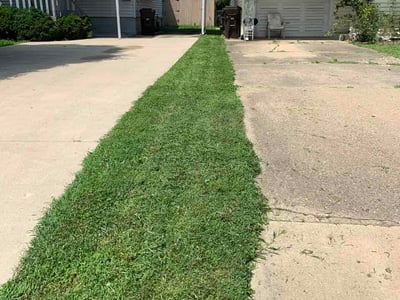 Lawn Care service in Dyer, 46311
